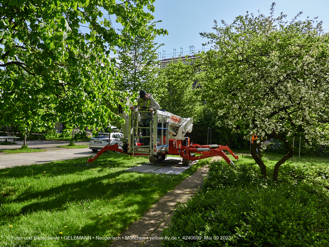 09.05.2023 - Graffiti von Peeta in Neuperlach